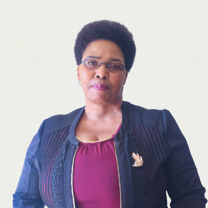 Mrs. Lungile G. Seyama